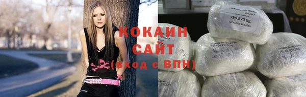 гашик Алексеевка