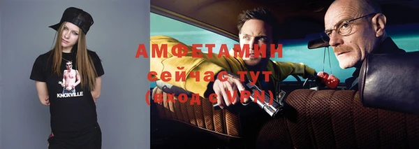 гашик Алексеевка